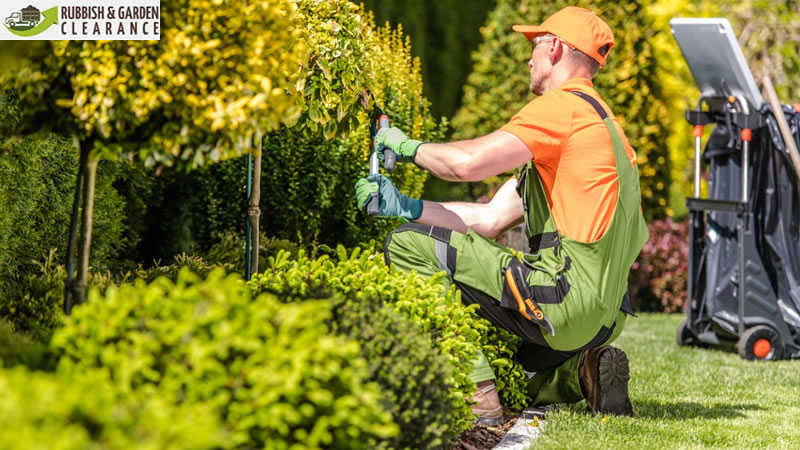 the best Garden clearance company to confirm you have an enjoyable experience
