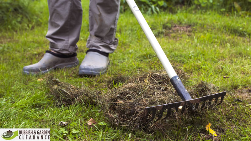 Before you begin your garden clearance you should take the time to have a detailed check 

