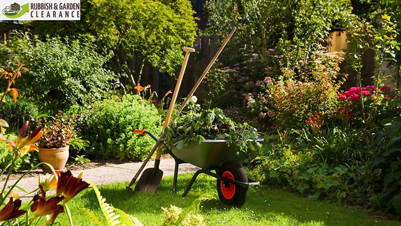 the garden clearance company offers modified cleaning plans and options
