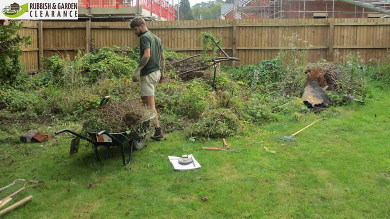 Next, observe and figure out what kind of garden waste clearance you are dealing with

