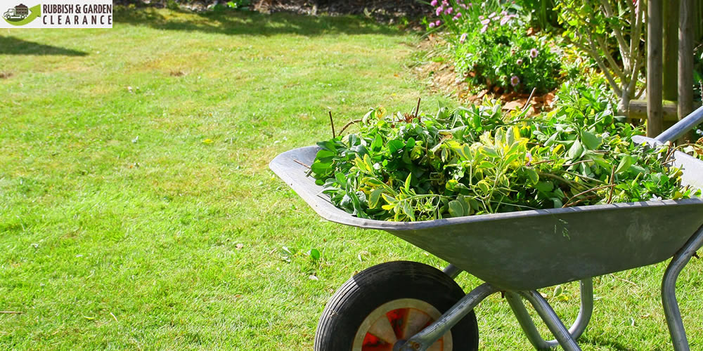 Garden Clearance Merton | Garden Clearance Service